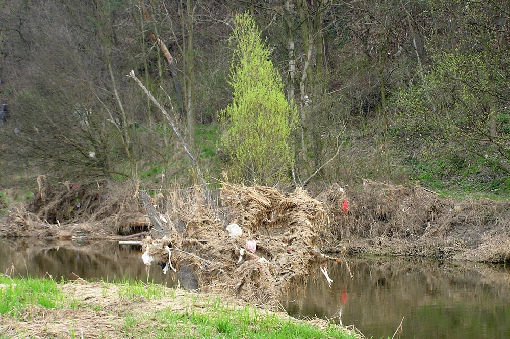 Troja_Drahaň 5