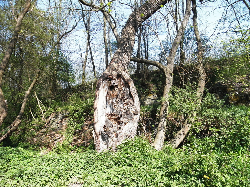 Zákolanský potok 04e